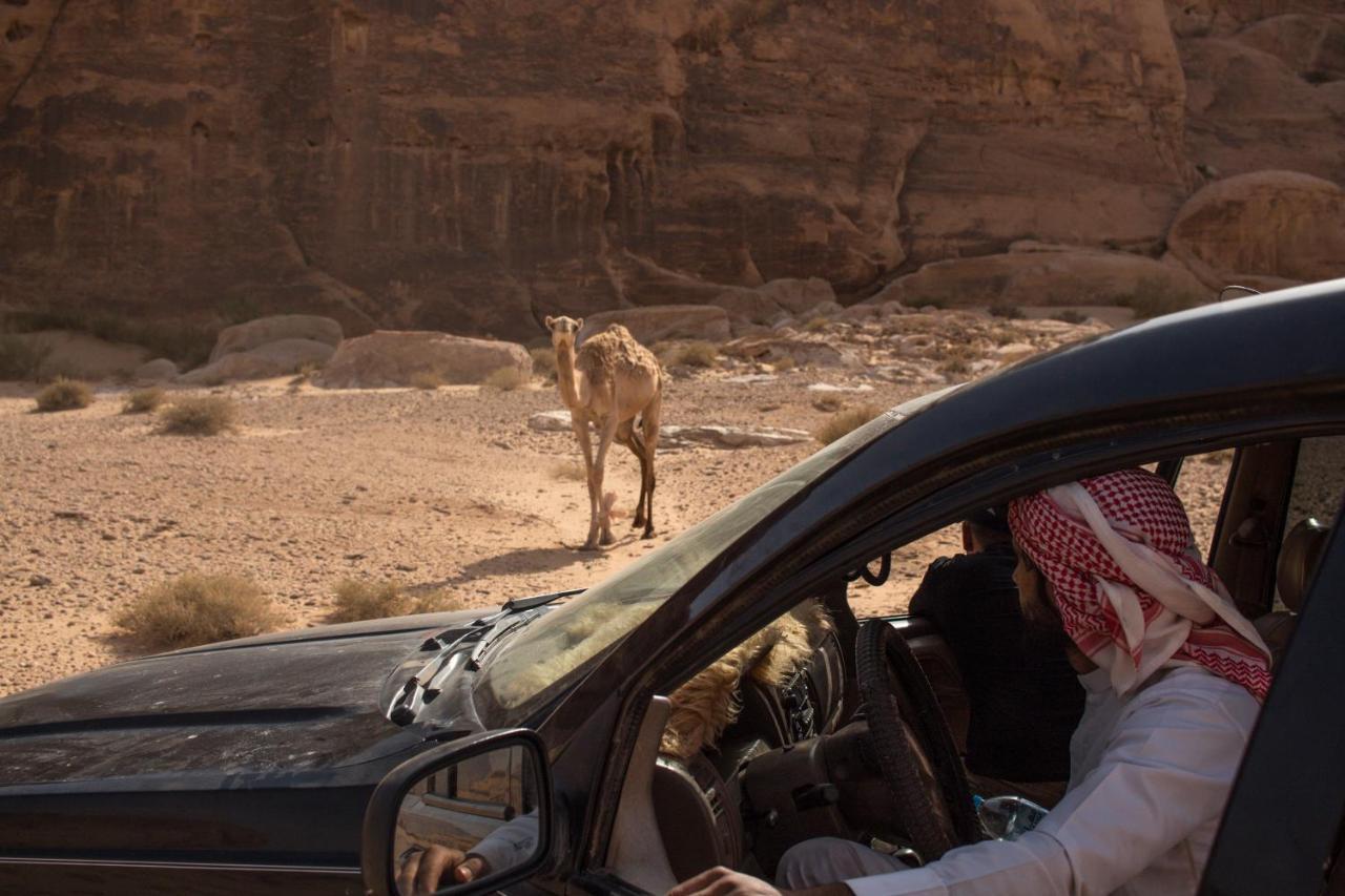 Wadi Rum Desert Home Eksteriør billede